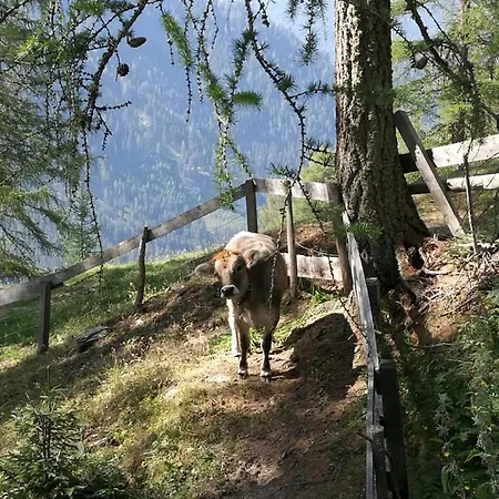 Zirbenlounge פונדס