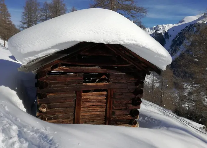 Zirbenlounge Lägenhet
